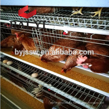 Best Selling Battery Cages for Layers Birds